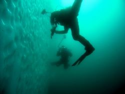 Image taken with Sea and Sea DX5000 with wide angle lens,... by Jesse Cole 